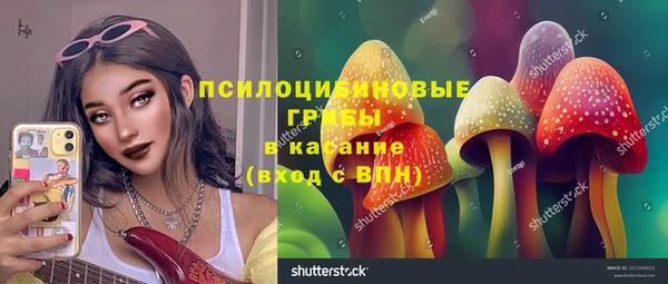 прущие грибы Арсеньев