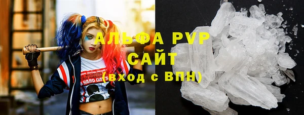 прущие грибы Арсеньев